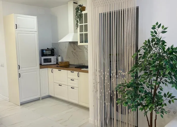 Ricon De Leon Cotillo